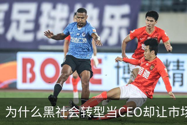 为什么黑社会转型当CEO却让市场更乱了