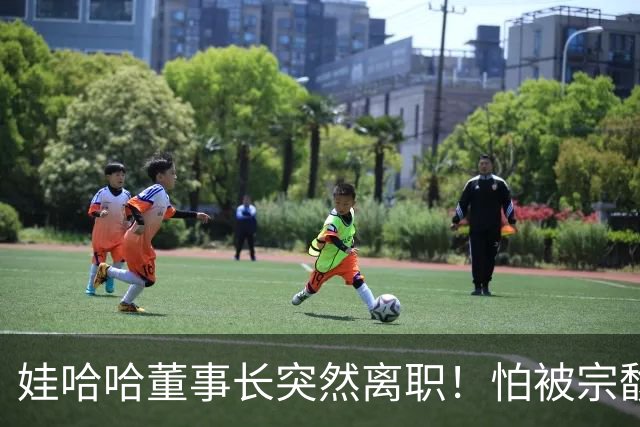 娃哈哈董事长突然离职！怕被宗馥莉连累，新规一出台他就跑了？