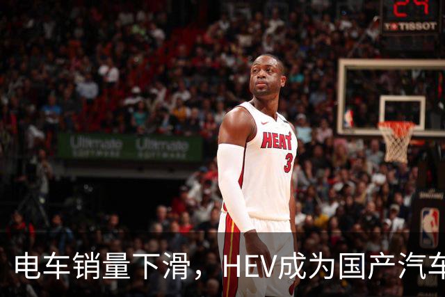 电车销量下滑，HEV成为国产汽车增长发动机，继续挑战丰田
