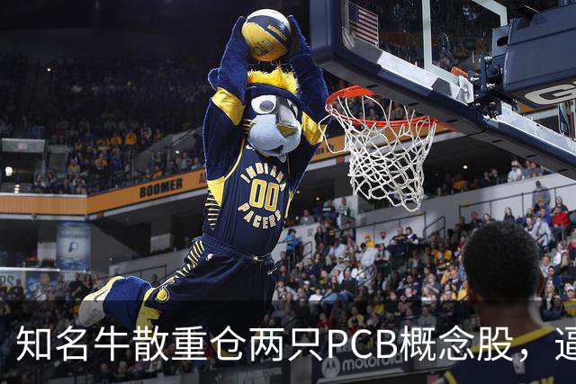 知名牛散重仓两只PCB概念股，逼近举牌线