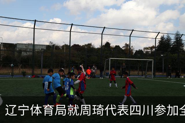 辽宁体育局就周琦代表四川参加全运会进行申诉