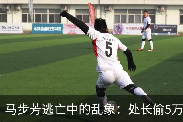 马步芳逃亡中的乱象：处长偷5万两黄金，三姨太与情人争风吃醋！